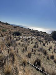 Οικόπεδο 8.928 τ.μ. πρός πώληση, Ν. Ηρακλείου, Βιαννός-thumb-14