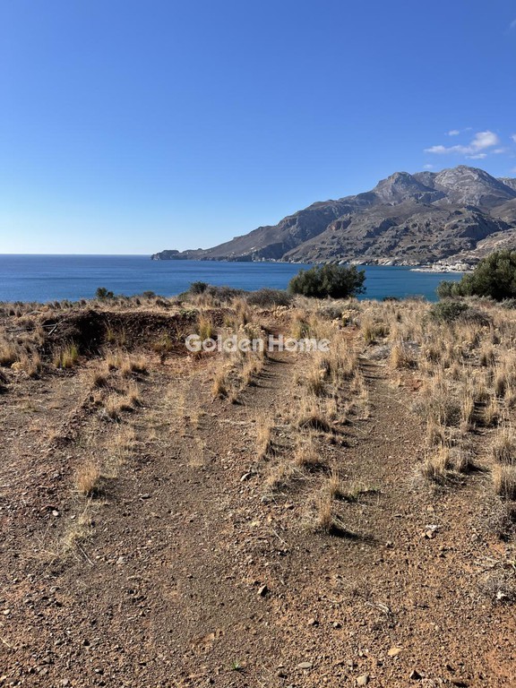 Οικόπεδο 8.928 τ.μ. πρός πώληση, Ν. Ηρακλείου, Βιαννός