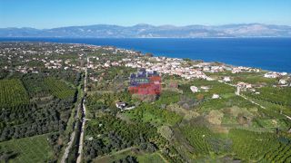 Αγροτεμάχια 1.500 τ.μ. για πώληση, Αχαΐα, Αίγιο-thumb-2