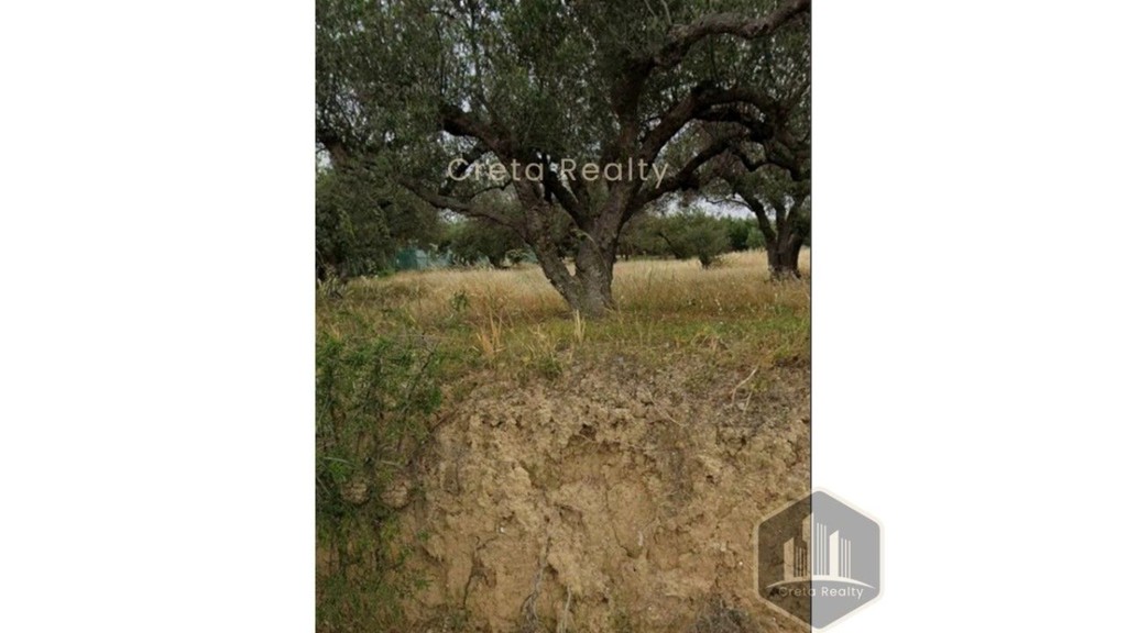 Οικόπεδο 1.787 τ.μ. προς πώληση, Σκαλάνι