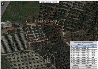 Αγροτεμάχια 1.879 τ.μ. για πώληση