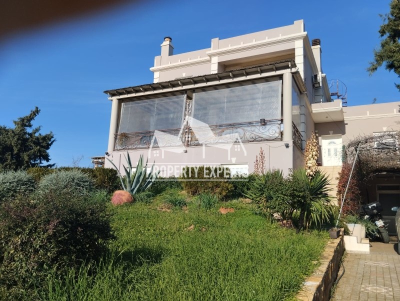 Μονοκατοικία 215 τ.μ. πρός πώληση, Εβρος, Αλεξανδρούπολη
