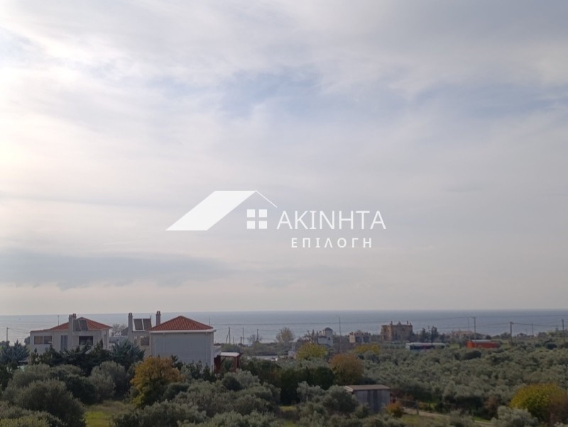 Βίλλα 200 τ.μ. πρός πώληση, Εβρος, Αλεξανδρούπολη