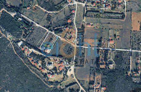 Αγροτεμάχια 7.182 τ.μ. προς πώληση