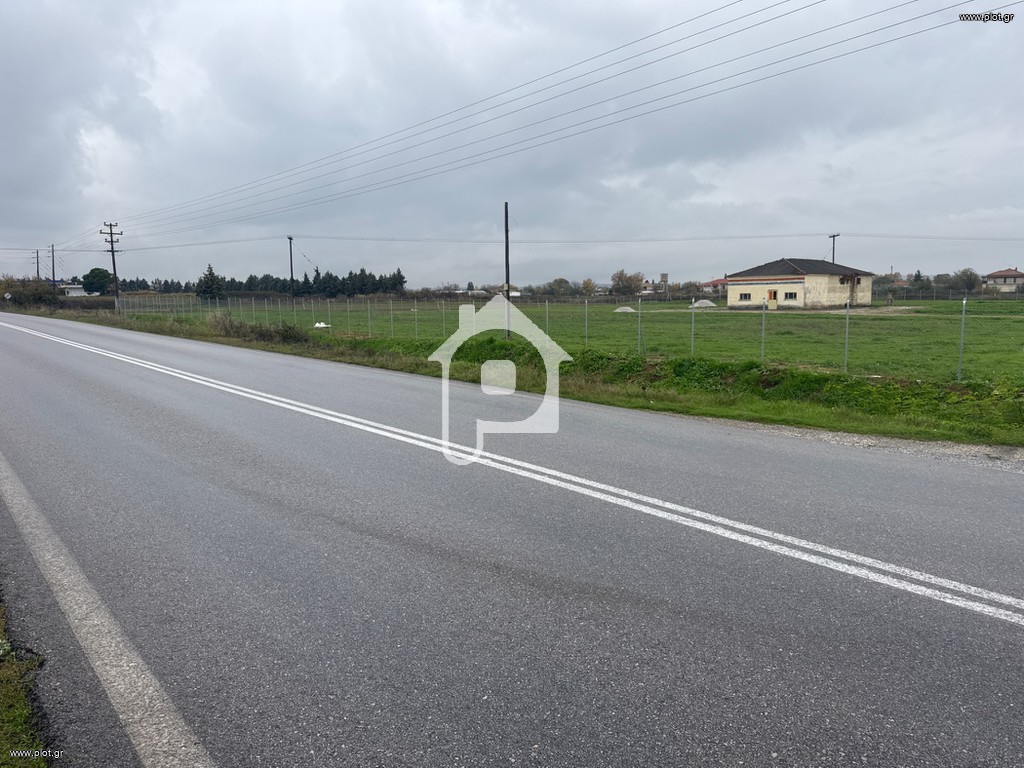 Αγροτεμάχια 12.800 τ.μ. προς ενοικίαση, Ν. Κιλκίς, Κιλκίς