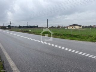 Αγροτεμάχια 12.800 τ.μ. για ενοικίαση, Ν. Κιλκίς, Κιλκίς-thumb-4