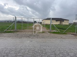 Αγροτεμάχια 12.800 τ.μ. για ενοικίαση, Ν. Κιλκίς, Κιλκίς-thumb-5