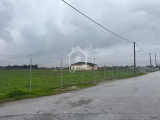 Αγροτεμάχια 12.800 τ.μ. για ενοικίαση, Ν. Κιλκίς, Κιλκίς-thumb-6