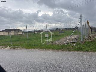 Αγροτεμάχια 12.800 τ.μ. για ενοικίαση, Ν. Κιλκίς, Κιλκίς-thumb-7