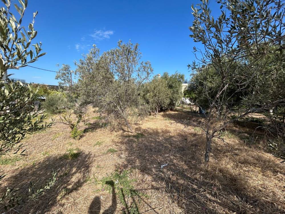 Οικόπεδο 293 τ.μ. πρός πώληση, Κορινθία, Σικυώνα