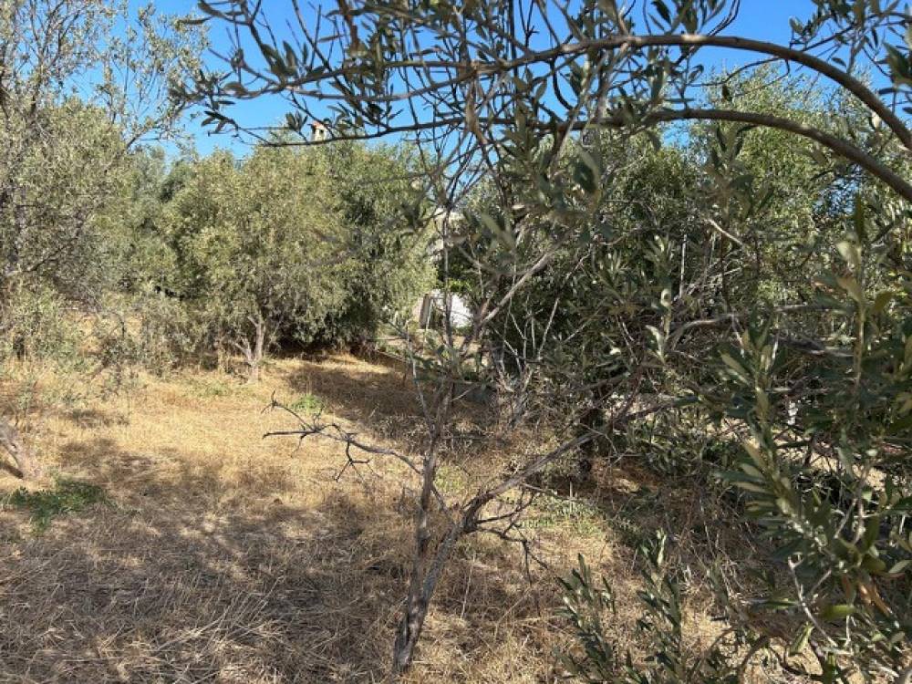 Οικόπεδο 293 τ.μ. πρός πώληση, Κορινθία, Σικυώνα