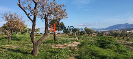 Οικόπεδο 15.000 τ.μ. για πώληση