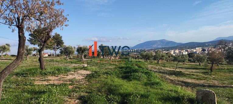 Land plot 15.000 sqm for sale, Athens - East, Koropi