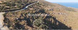 Αγροτεμάχια 4.011 τ.μ. για πώληση