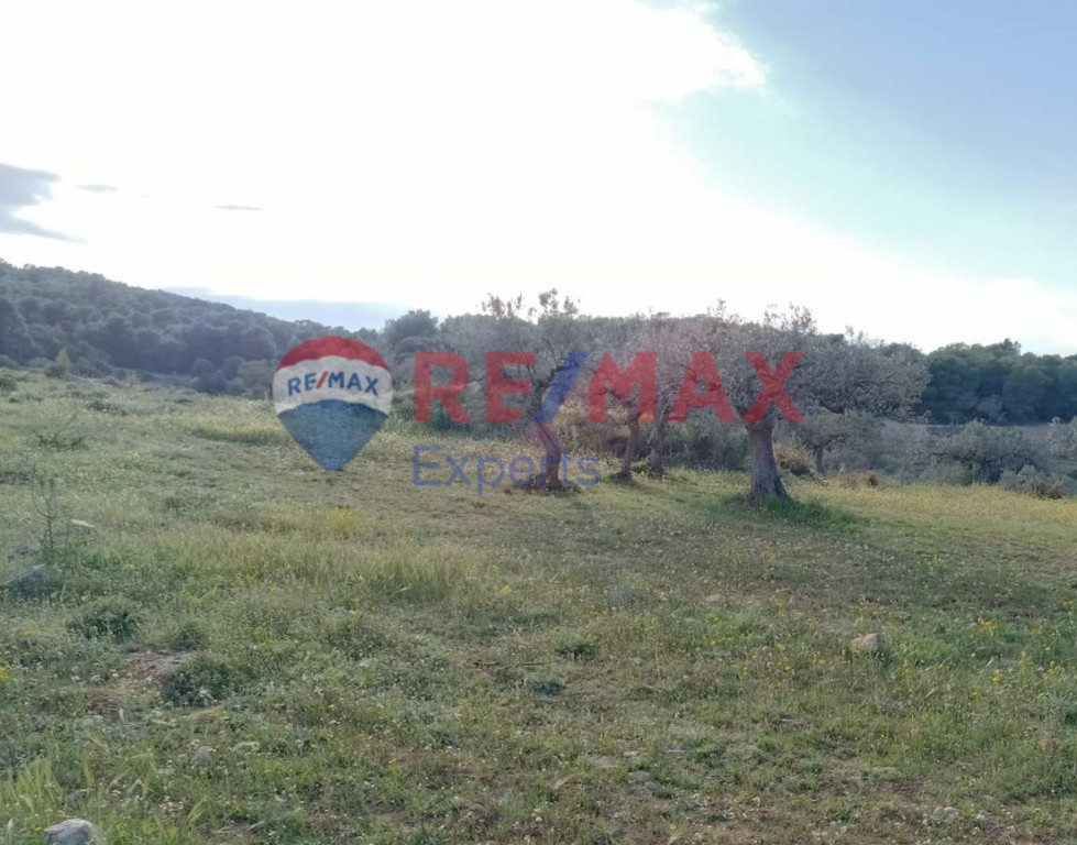 Αγροτεμάχια 607.000 τ.μ. προς πώληση, Ερμιόνη