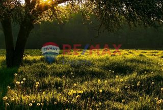 Αγροτεμάχια 607.000 τ.μ. προς πώληση, Ερμιόνη-thumb-9