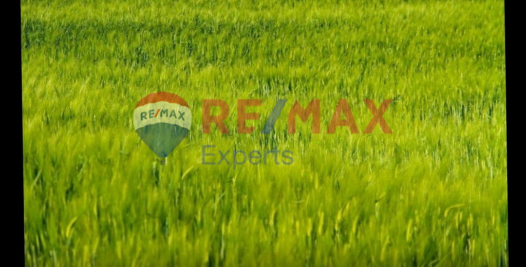 Αγροτεμάχια 607.000 τ.μ. προς πώληση, Ερμιόνη