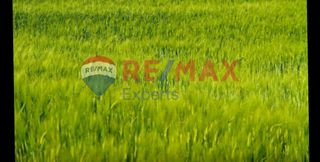 Αγροτεμάχια 607.000 τ.μ. προς πώληση, Ερμιόνη-thumb-3