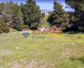 Αγροτεμάχια 607.000 τ.μ. προς πώληση, Ερμιόνη-thumb-1