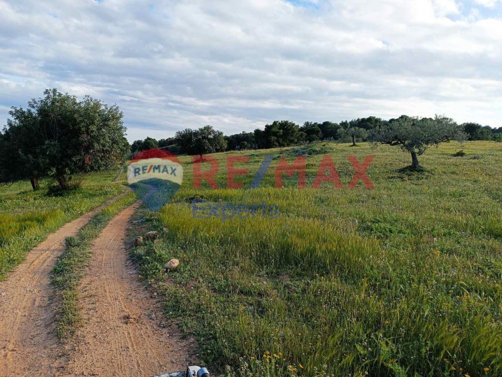 Αγροτεμάχια 607.000 τ.μ. προς πώληση, Ερμιόνη