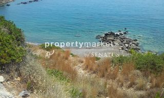 Οικόπεδο 2.300 τ.μ. για πώληση, Ν. Λασιθίου, Ιεράπετρα-thumb-6