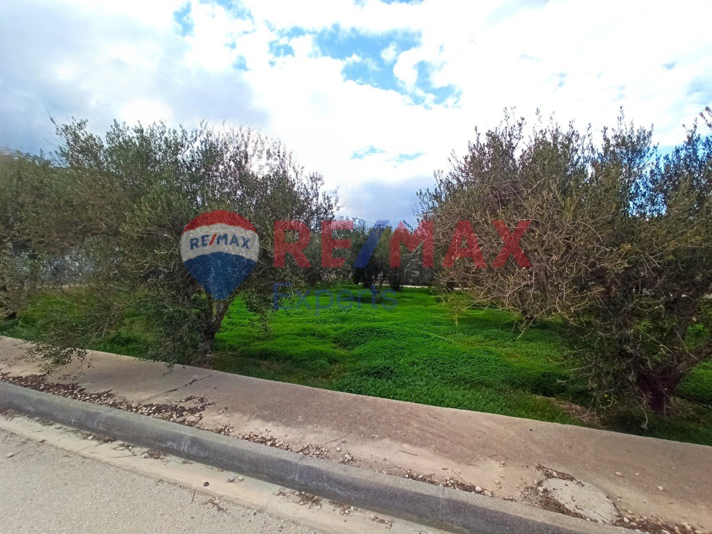 Οικόπεδο 419 τ.μ. προς πώληση, Κιάτο