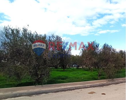 Οικόπεδο 419 τ.μ. προς πώληση