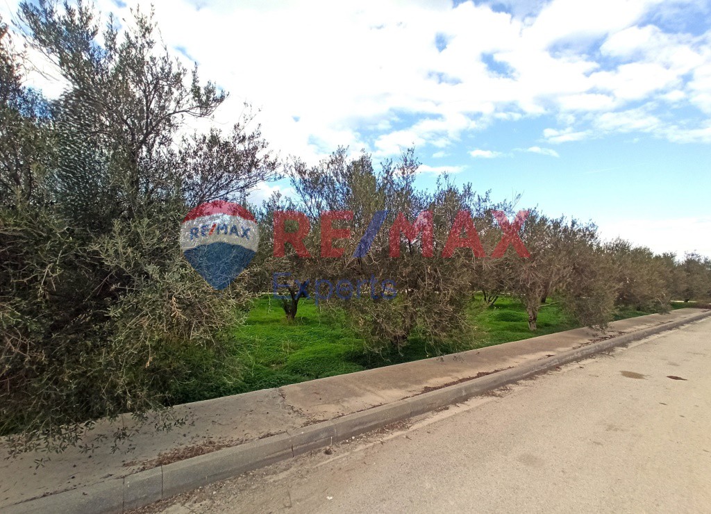 Οικόπεδο 419 τ.μ. προς πώληση, Κιάτο