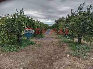 Αγροτεμάχια 35.248 τ.μ. προς πώληση, Κουρτάκι Άργους-thumb-17