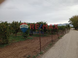Αγροτεμάχια 35.248 τ.μ. προς πώληση, Κουρτάκι Άργους-thumb-16