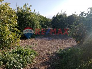 Αγροτεμάχια 35.248 τ.μ. προς πώληση, Κουρτάκι Άργους-thumb-20