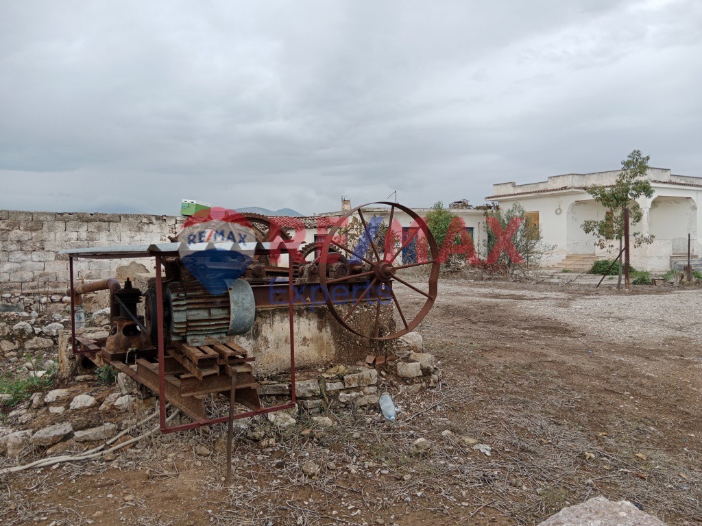 Αγροτεμάχια 35.248 τ.μ. προς πώληση, Κουρτάκι Άργους