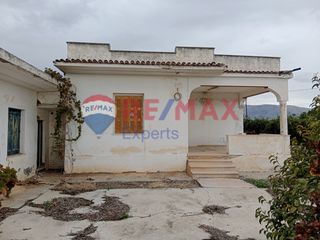 Αγροτεμάχια 35.248 τ.μ. προς πώληση, Κουρτάκι Άργους-thumb-6
