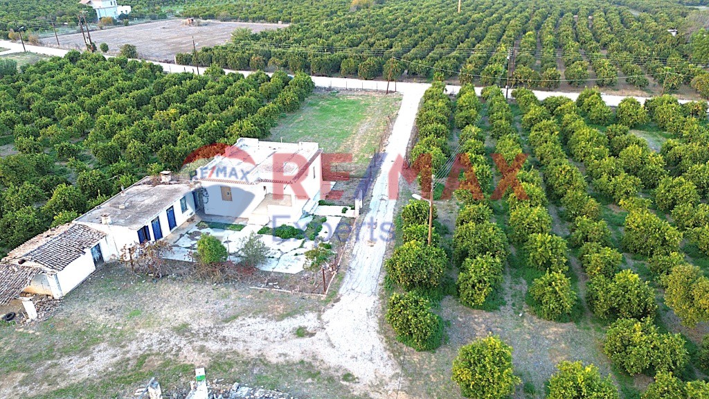 Αγροτεμάχια 35.248 τ.μ. προς πώληση, Κουρτάκι Άργους