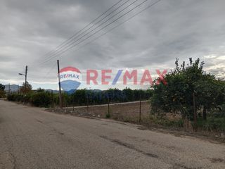 Αγροτεμάχια 35.248 τ.μ. προς πώληση, Κουρτάκι Άργους-thumb-14