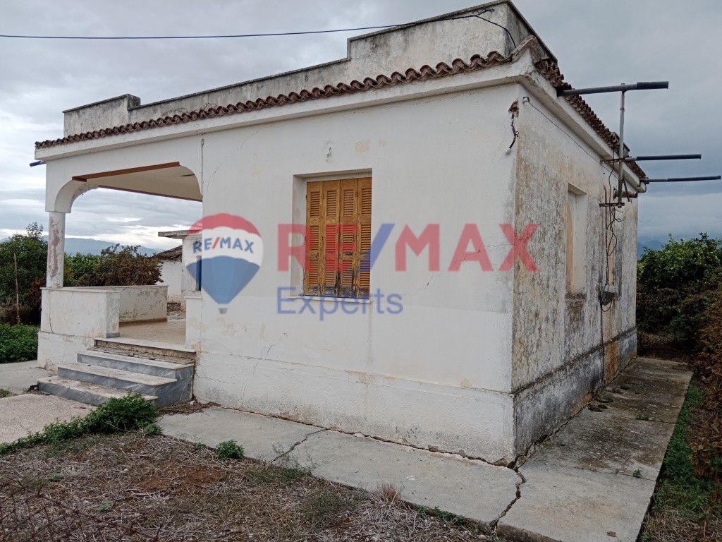 Αγροτεμάχια 35.248 τ.μ. προς πώληση, Κουρτάκι Άργους
