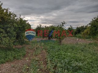 Αγροτεμάχια 35.248 τ.μ. προς πώληση, Κουρτάκι Άργους-thumb-22