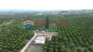 Αγροτεμάχια 35.248 τ.μ. προς πώληση, Κουρτάκι Άργους-thumb-23