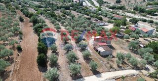 Οικόπεδο 2.545 τ.μ. για πώληση