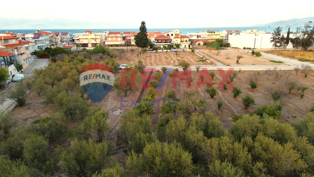 Οικόπεδο 753 τ.μ. προς πώληση, Κιάτο