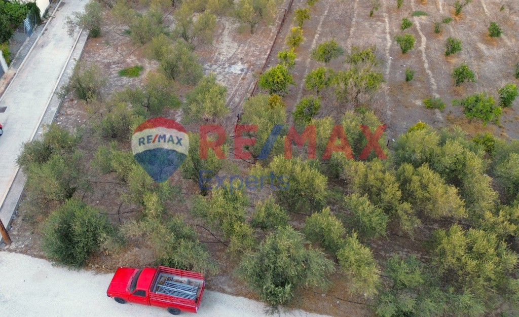 Οικόπεδο 753 τ.μ. προς πώληση, Κιάτο