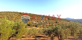 Αγροτεμάχια 10.075 τ.μ. προς πώληση, Πυργιώτικα-thumb-9