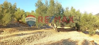 Αγροτεμάχια 10.075 τ.μ. προς πώληση, Πυργιώτικα-thumb-26