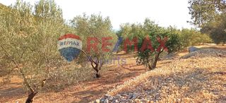 Αγροτεμάχια 10.075 τ.μ. προς πώληση, Πυργιώτικα-thumb-25