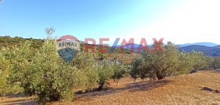 Αγροτεμάχια 10.075 τ.μ. προς πώληση, Πυργιώτικα-thumb-10