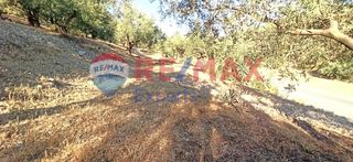 Αγροτεμάχια 10.075 τ.μ. προς πώληση, Πυργιώτικα-thumb-31