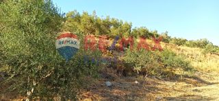 Αγροτεμάχια 10.075 τ.μ. προς πώληση, Πυργιώτικα-thumb-8