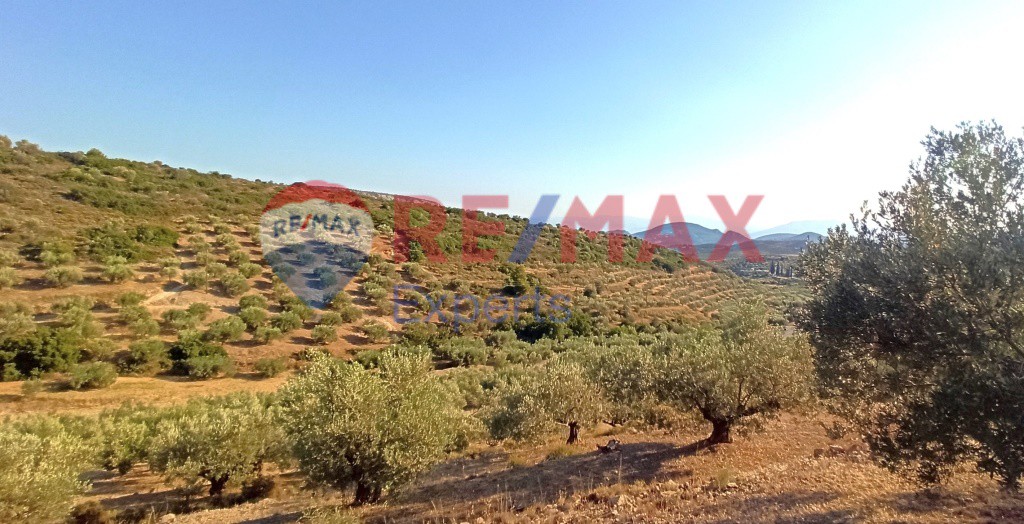 Αγροτεμάχια 10.075 τ.μ. προς πώληση, Πυργιώτικα