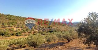 Αγροτεμάχια 10.075 τ.μ. για πώληση