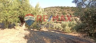 Αγροτεμάχια 10.075 τ.μ. προς πώληση, Πυργιώτικα-thumb-16